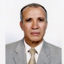 Pr. Mohamed Boujalal